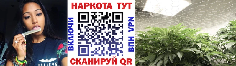 МЕФ Сосногорск